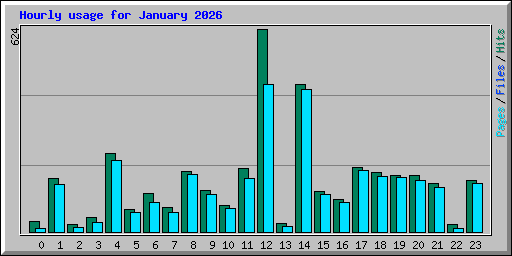Hourly usage for January 2026